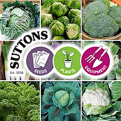 Suttons - Shop Our Huge Vegetable & Fruit Plants