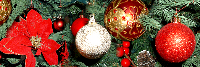 Merry Christmas and a Happy New Year