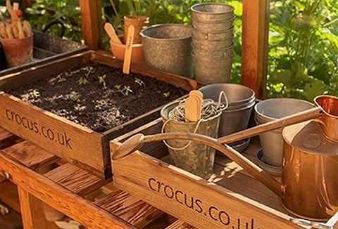 Link to the Crocus website