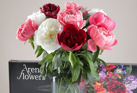 Link to the Arena Flowers website