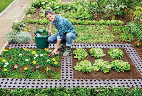 Link to the Original Organics website