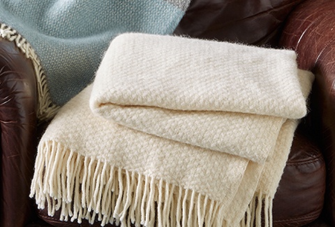 Link to the Natural Collection website