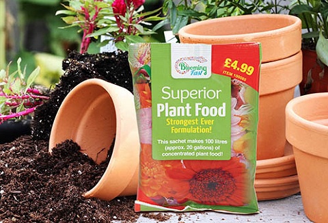 Link to the Gardening Direct website