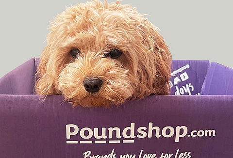 Link to the Poundshop website