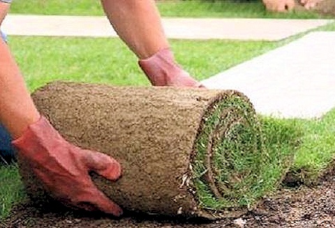 Link to the Fine Turf (Devon) Ltd website