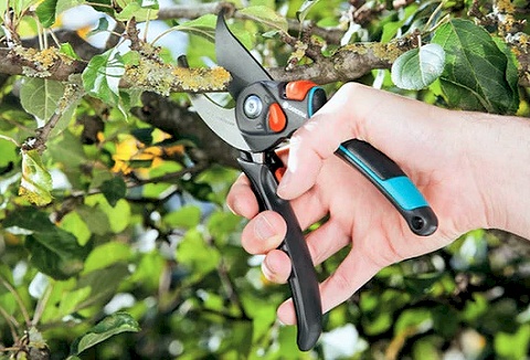 Link to the GS Workwear & Tools website