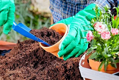 Link to the Coco & Coir website