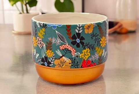 Link to the FabFinds website Link to the FabFinds website