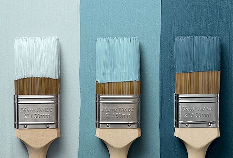 Link to the The Paint Shed website Link to the The Paint Shed website