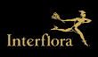 Link to the Interflora website