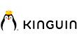 Link to the Kinguin website